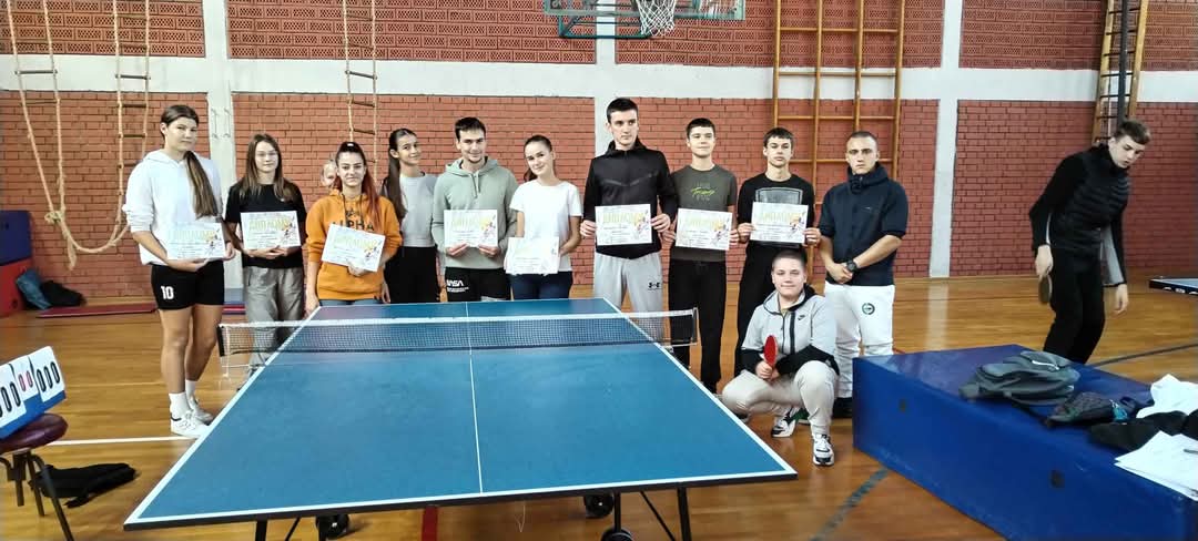 Стони тенис